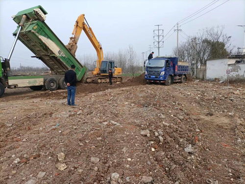 龙子湖住建局以创新模式开启东部门户绿化建设工程