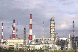 一呼百应公司频道