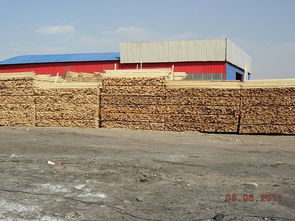 抚顺南杂木材市场批发木材,同时批发竹胶板木模板桥梁板铁路专用