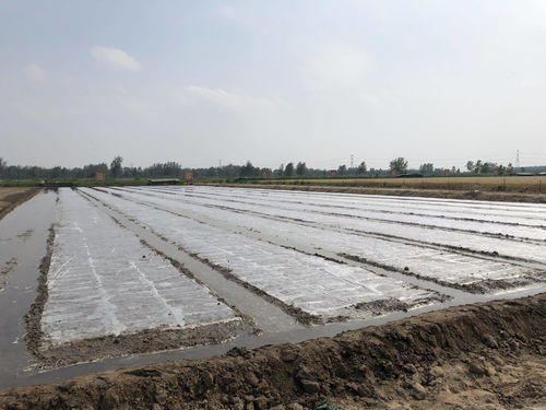 筑巢引凤赋能 三乡工程 打造乡村振兴 强磁场