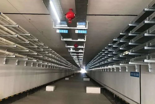 回来干活,我们一定会 罩 顾好你