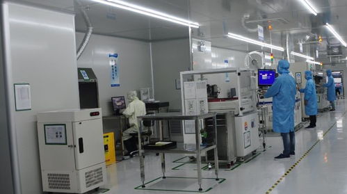 龙岗区委领导视察安培龙