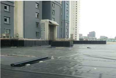 新闻 厦门防裂贴产品详情 实力