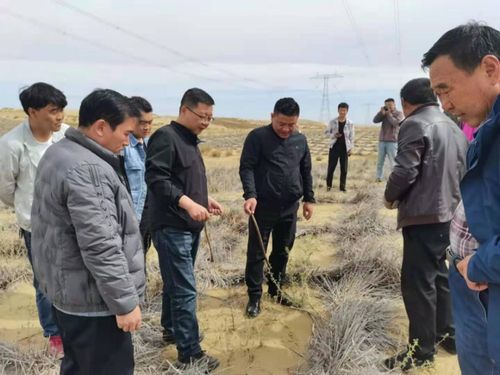 省林草局强化重点生态工程专项督查，保障建筑工程与生态保护协调发展